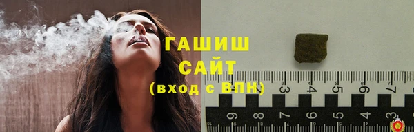spice Богородицк