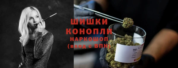 стафф Богородск