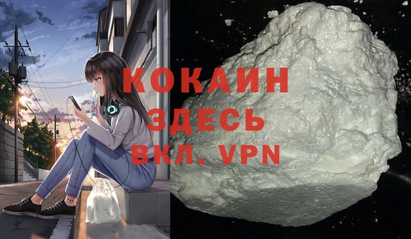 spice Богородицк