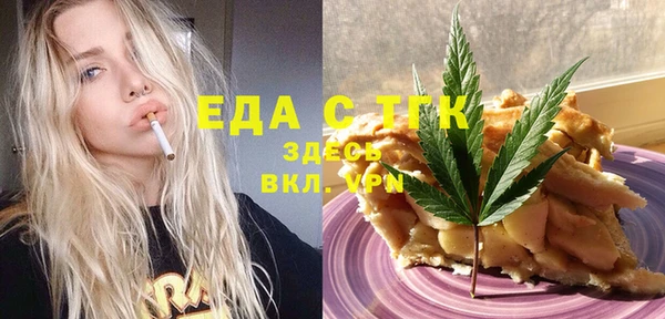 spice Богородицк