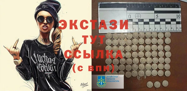 дмт Богданович