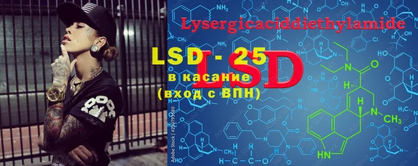 дмт Богданович