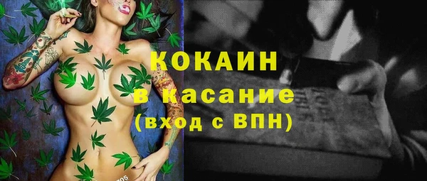 дмт Богданович
