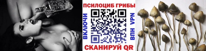 Купить закладки  Фрязино  Галлюциногенные грибы мицелий 