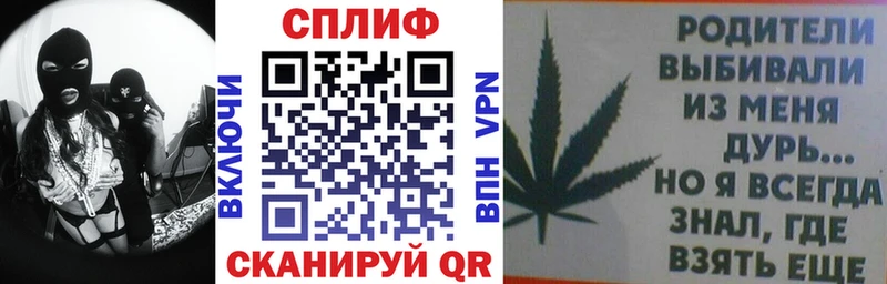 Купить закладки  Фрязино  Бошки марихуана тримм 